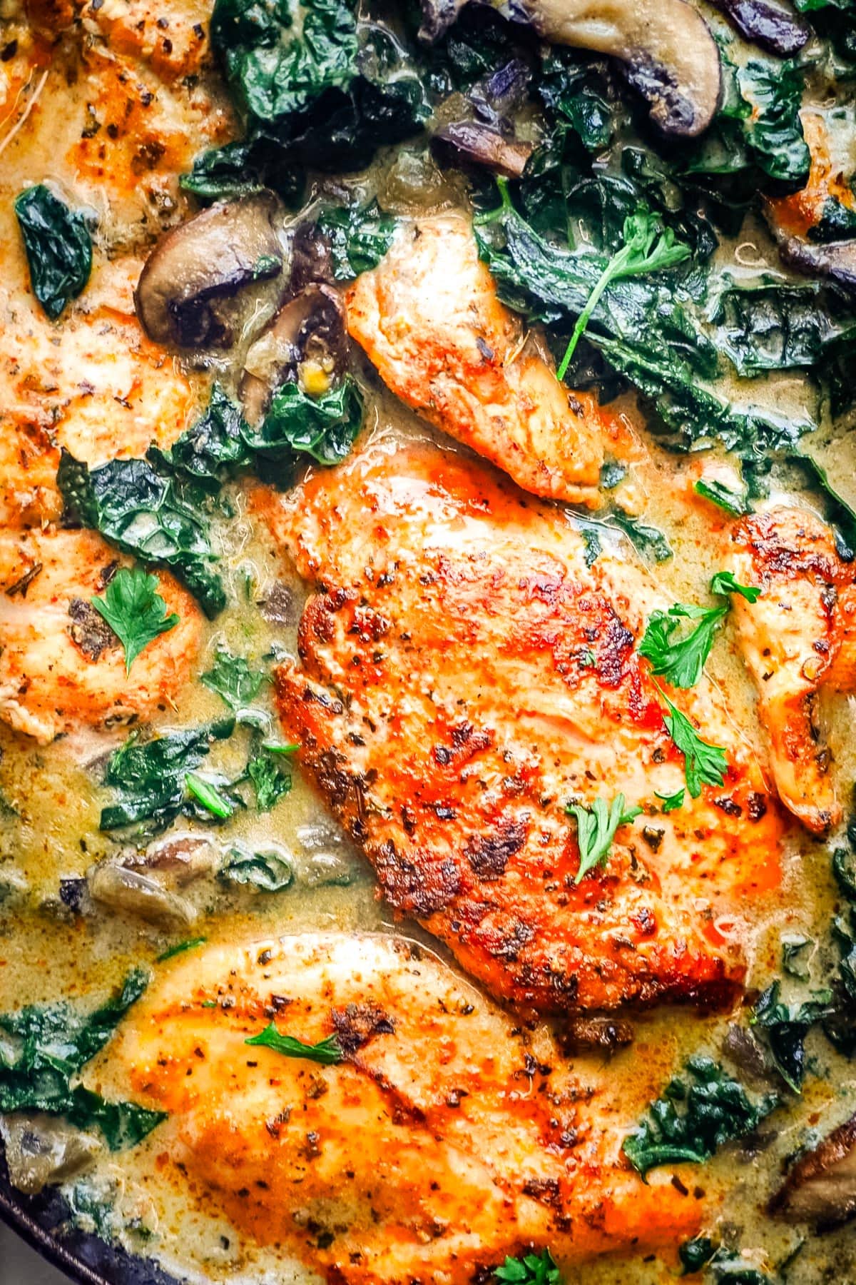 A lose up picture of chicken with mushrooms . 