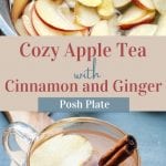 Warm your hands with this cozy cinnamon apple tea with ginger. Gala apples simmered away and enhanced with cinnamon sticks, and spicy ginger. Your whole house will smell like a fall-infused candle!