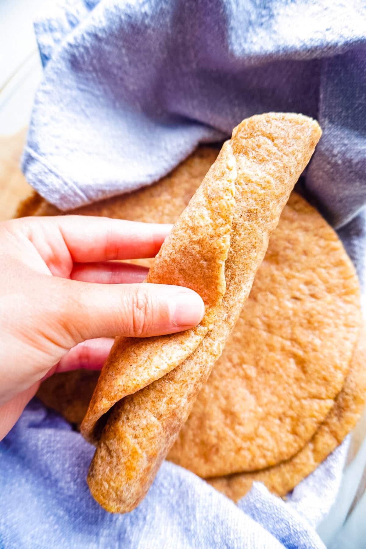 A Healthy Tortillas rolled up and being held in a hand. 