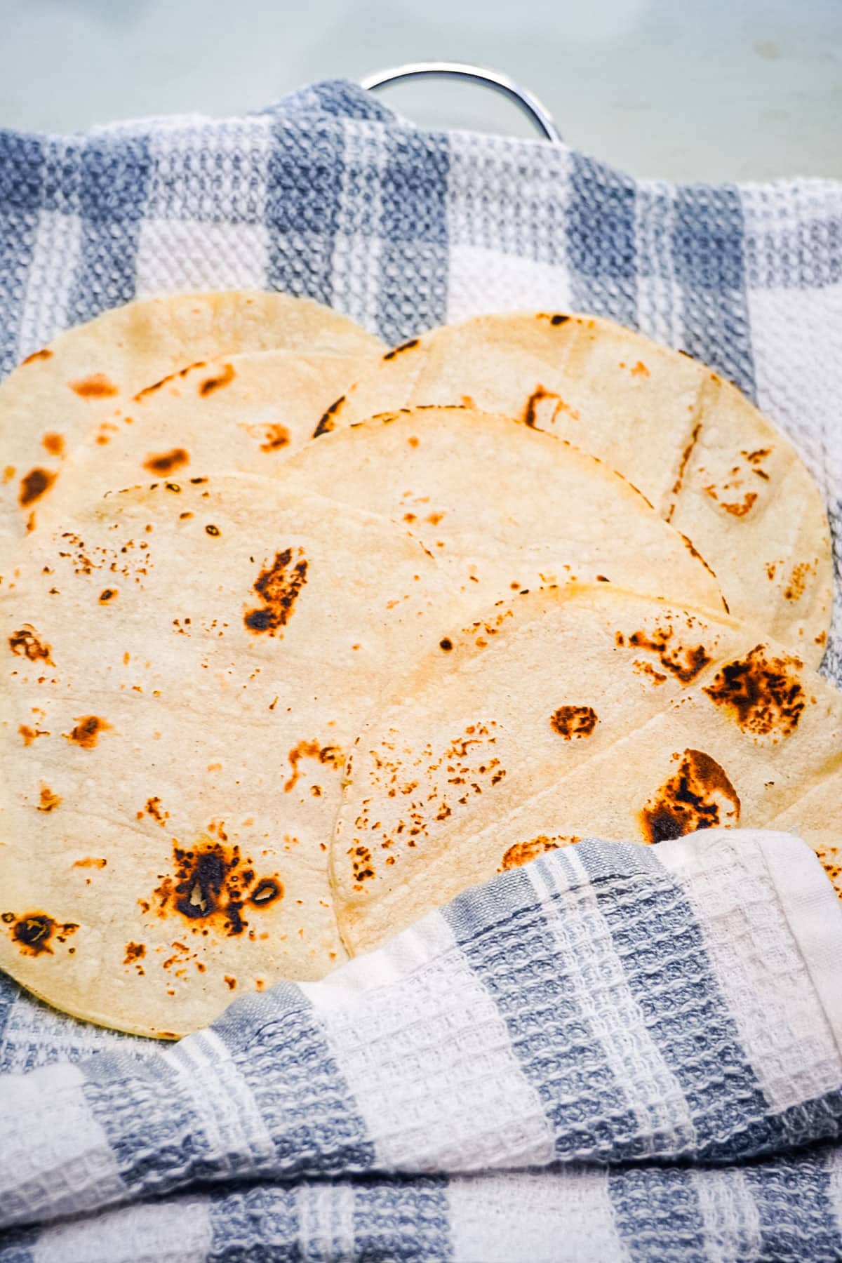 The corn tortillas needed for this recipe.