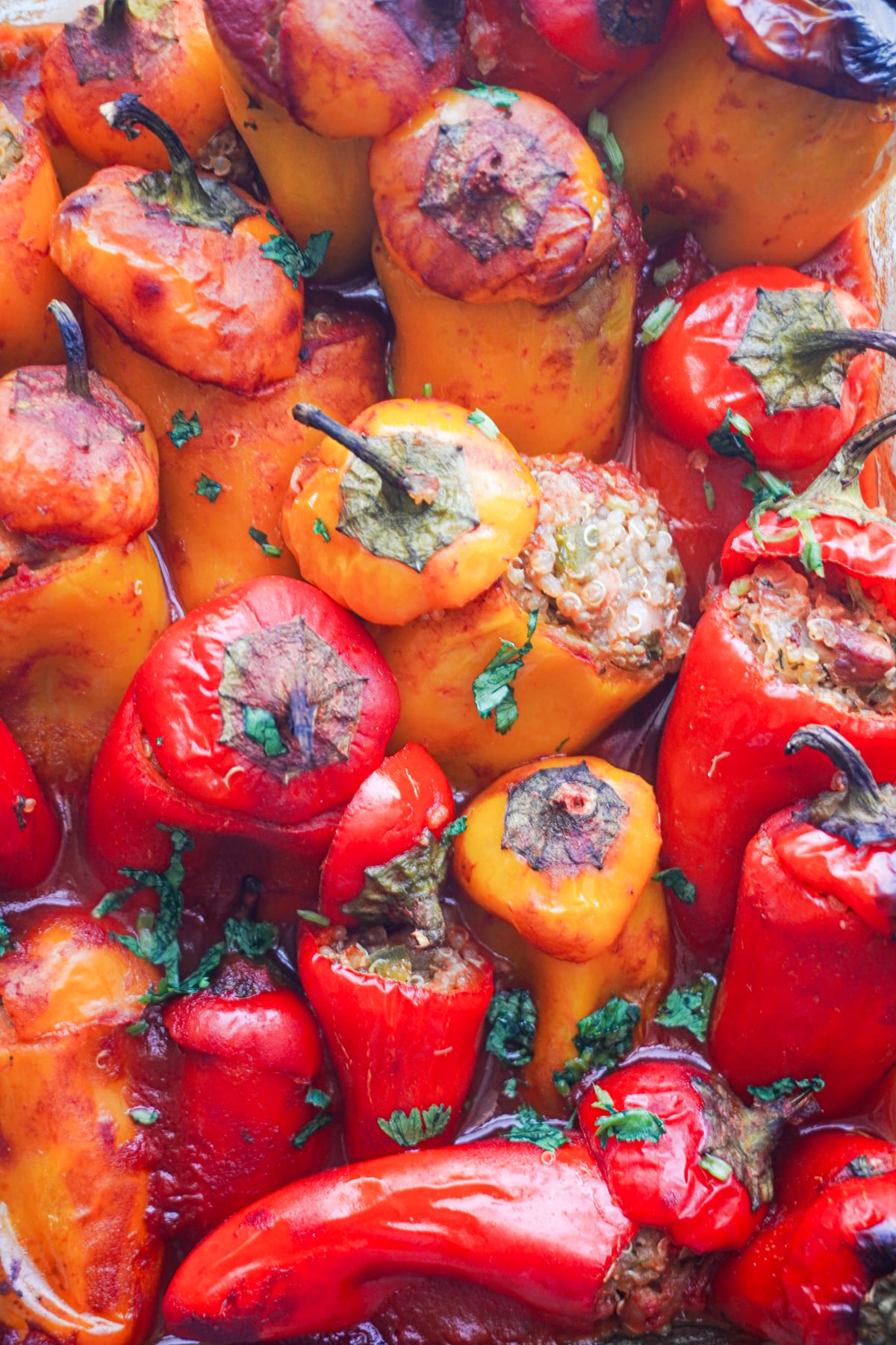 mini peppers stuffed with quinoa. A meet-free recipe. 