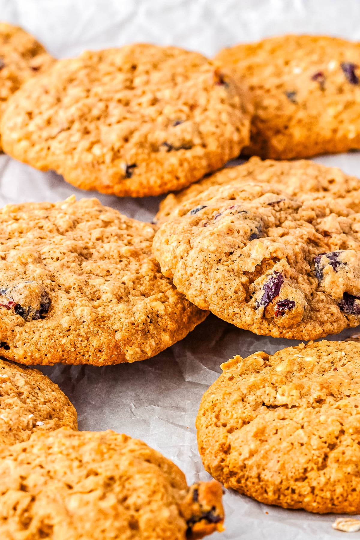 Eight gluten-free cranberry oatmeal cookies on parchment paper. 