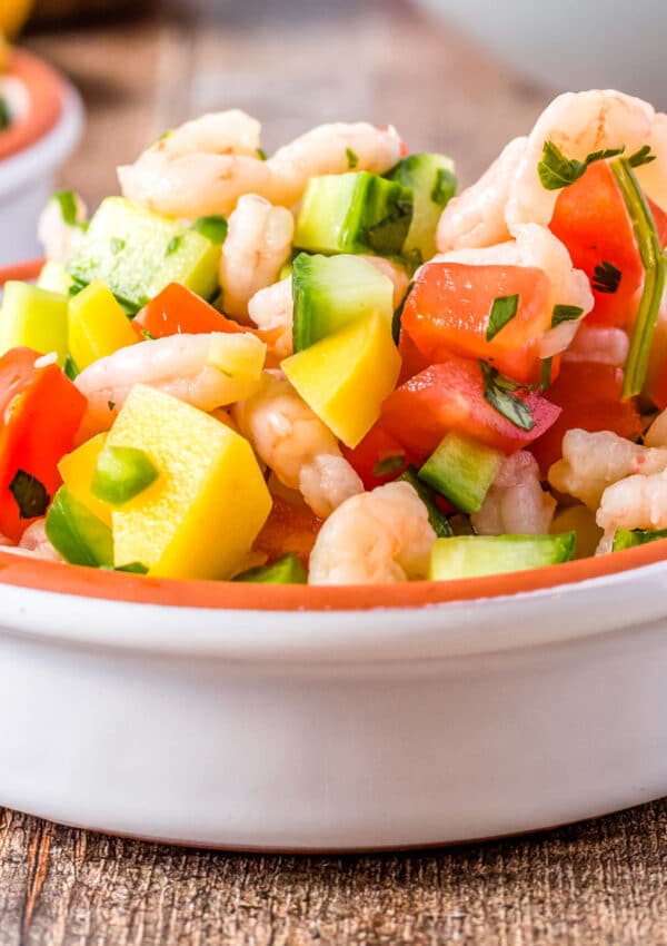 A close up of ceviche in a white bowl.