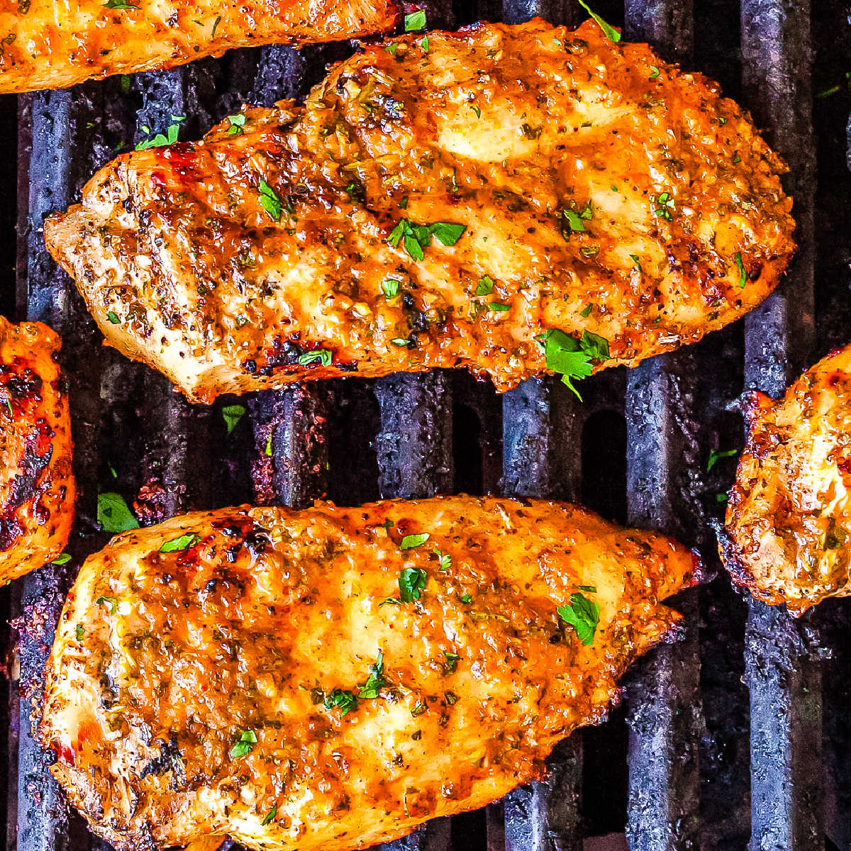 An overhead picture of grilled Mexican chicken on grill grates.