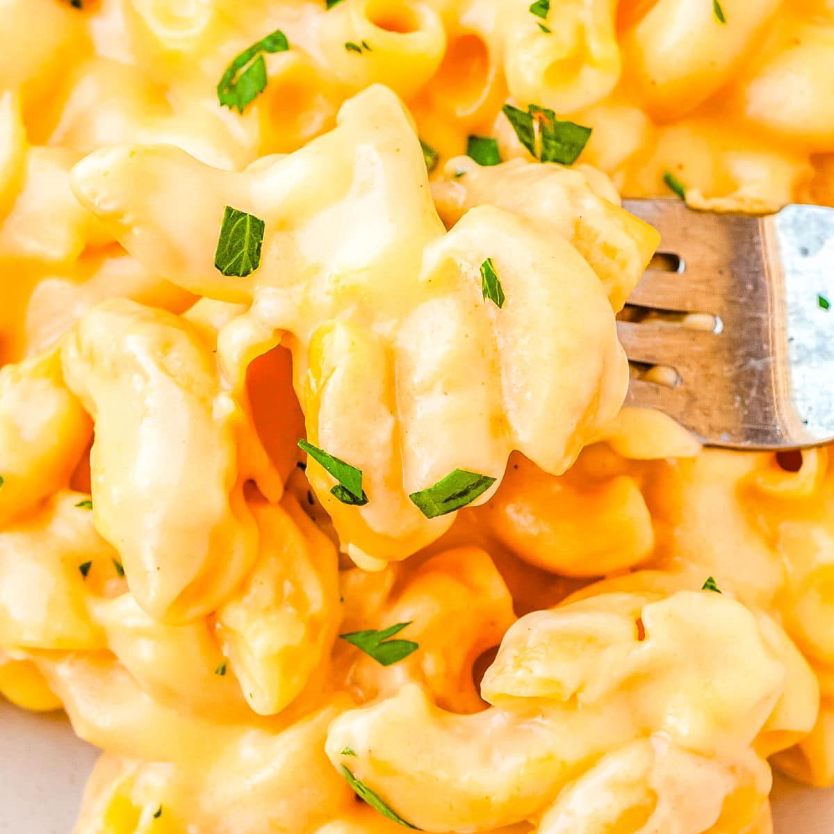 A fork picking up some mac and cheese from a plate.