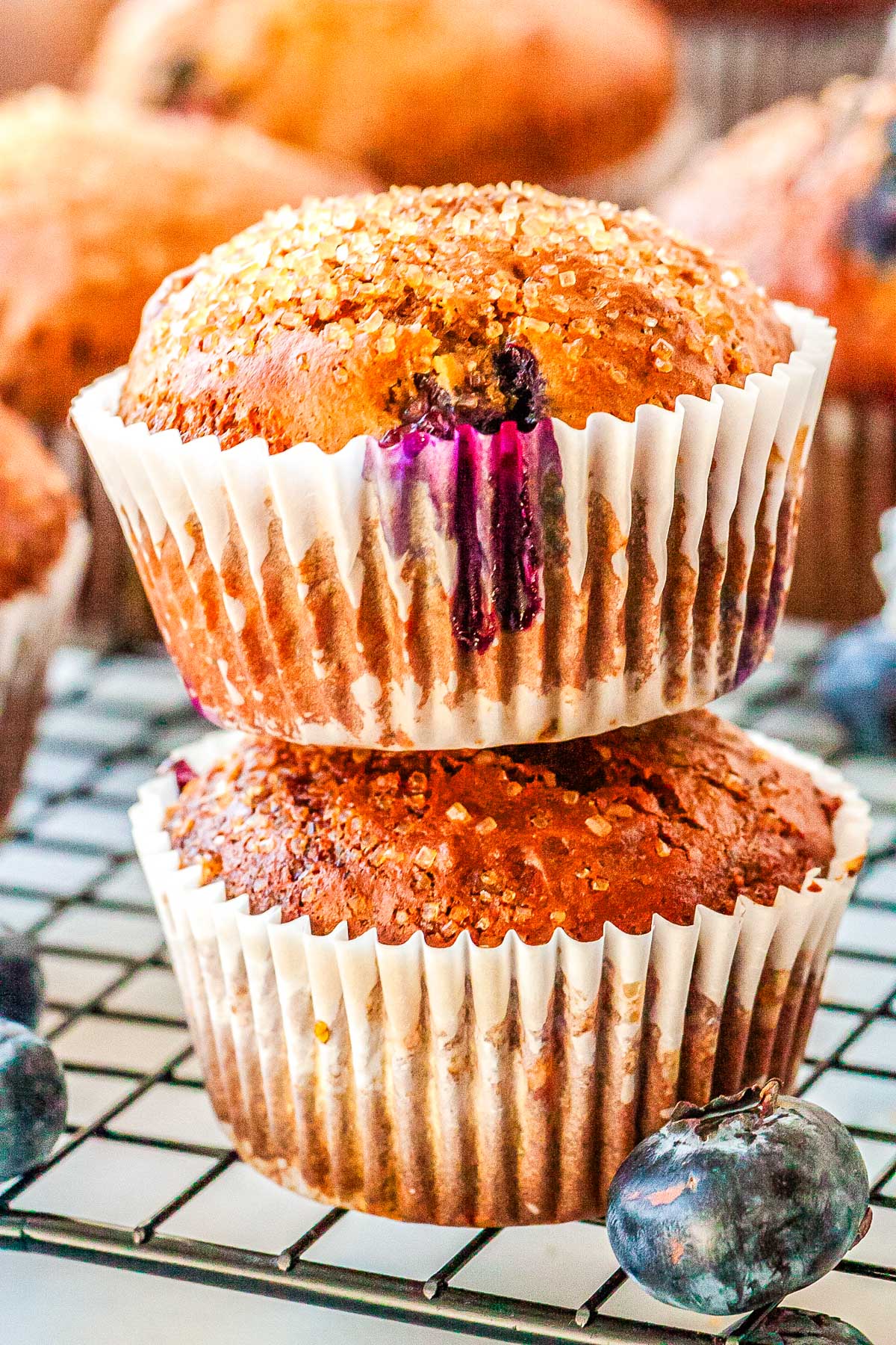 A stack of two blueberry cottage cheese muffins showing the high golden brown domed tops and fresh blueberries bursting through the crust.